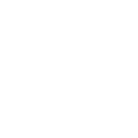 Invincible digital assessment